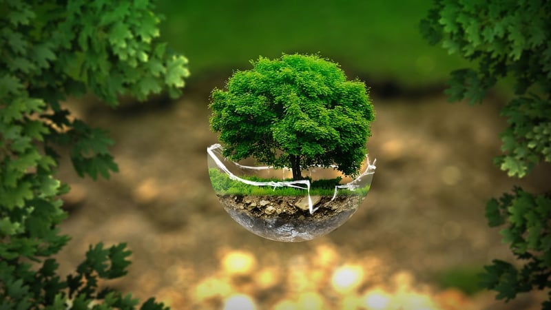 Green Architect