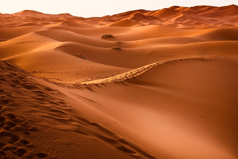Middle Eastern Desert